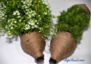 Cute Hedgehog Planters