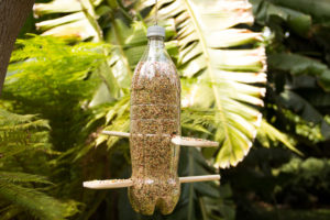 Soda Bottle Bird Feeder