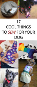 17 Cool Things to Sew for Your Dog