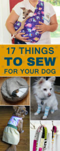 17 Cool Things to Sew for Your Dog