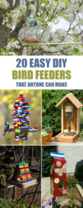 20 Easy DIY Bird Feeders Anyone Can Make