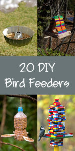 20 Easy DIY Bird Feeders That Anyone Can Make