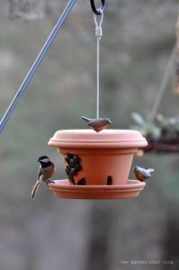 Bird Feeder From A Flower Pot