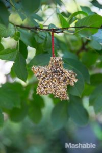 Cookie Cutter Feeder