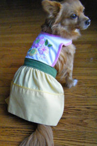 Homemade Dog Dress