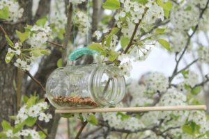 Mason Jar Birdfeeder