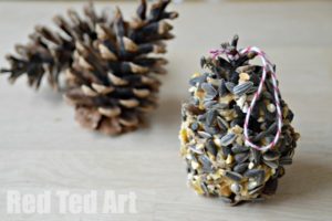 Pine Cone Bird Feeders