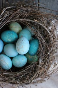 Dyed Robin Eggs