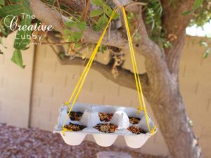 Egg Carton Bird Feeder