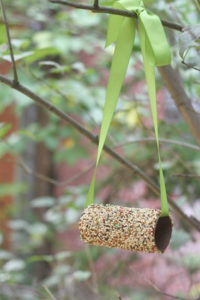 Toilet Paper Roll Bird Feeder