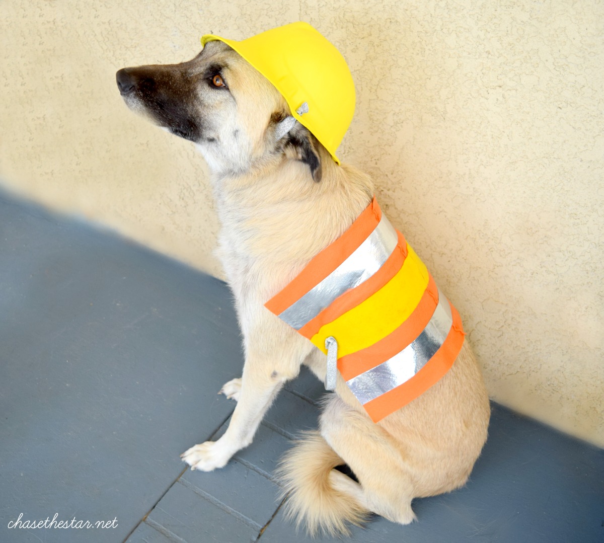 Construction Worker Halloween Dog Costume