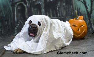 Dog ghost costume