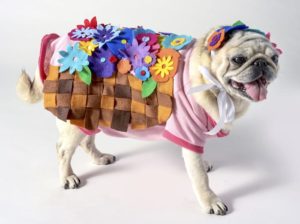 Flower Basket Costume