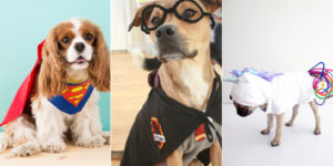 Halloween Costume Ideas for Your Dog
