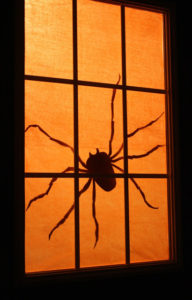 Spooky Spider Silhouette