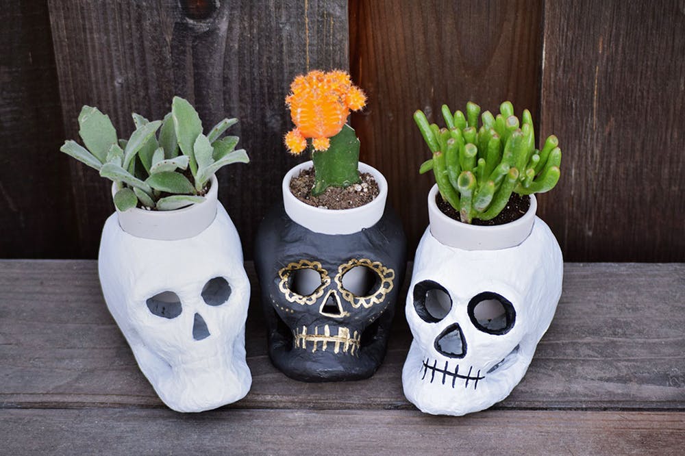 Skull Planters