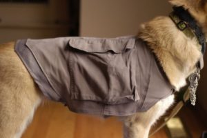 Doggy Cooling Vest