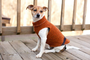 Sweater sleeve dog coat