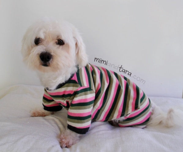 dog pajamas pattern