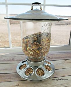 Mason Jar Bird Feeder