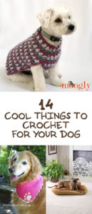 14 Cool Things To Crochet For Your Dog