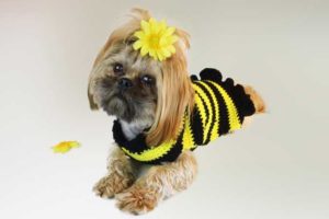 Bumble Bee Dog Sweater