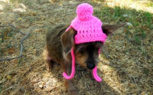 Dog Hat Crochet Pattern