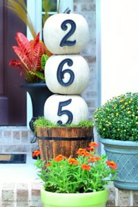 Pumpkin House Numbers