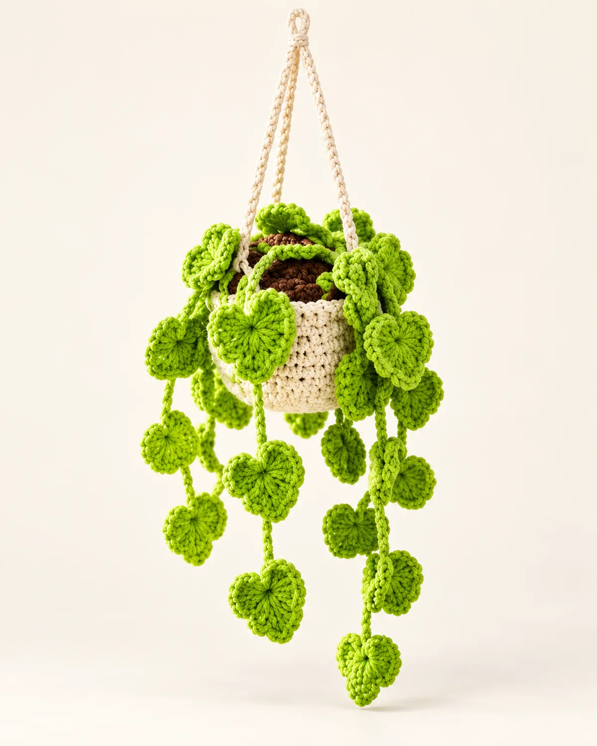 Hanging Plant, finished product on a warm off-white background